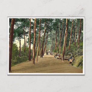 Invalids' walk, Bournemouth, England vintage Photo Postcard