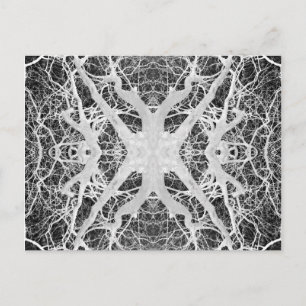 Inverse Treetop Spider's Web Postcard