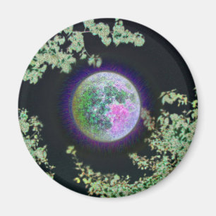 Invert Moon Magnet