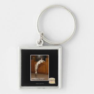 Invisible 3 Pointer Key Ring