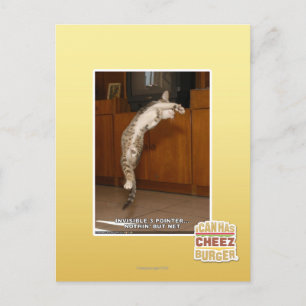 Invisible 3 Pointer Postcard