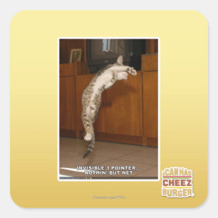 Invisible 3 Pointer Square Sticker