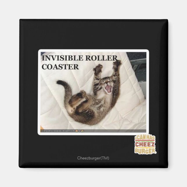 Invisible Roller Coaster Magnet (Front)