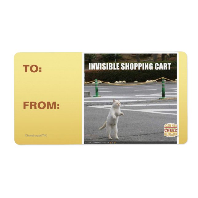 INVISIBLE SHOPPING CART (Front)