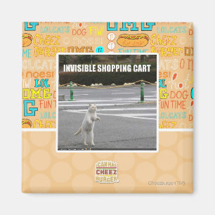 INVISIBLE SHOPPING CART MAGNET