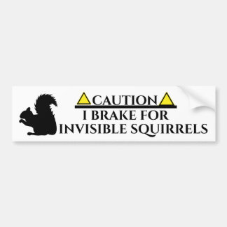Invisible Squirrels Bumper Sticker