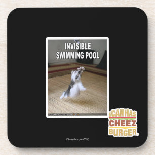 Invisible Swimming Pool Coaster