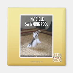 Invisible Swimming Pool Magnet