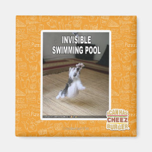 Invisible Swimming Pool Magnet