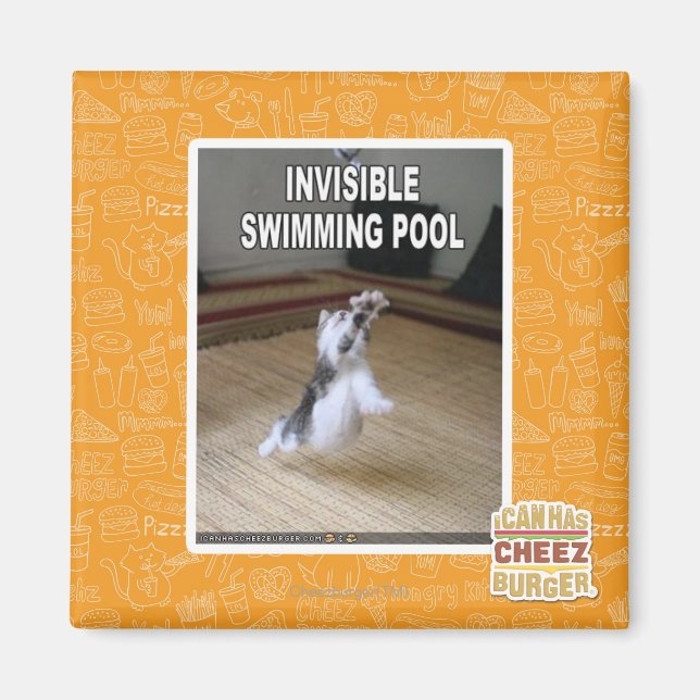 Invisible Swimming Pool Magnet (Front)