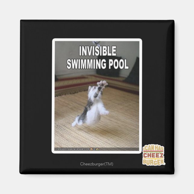 Invisible Swimming Pool Magnet (Front)