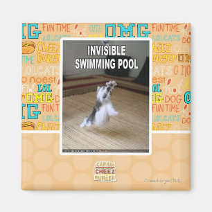 Invisible Swimming Pool Magnet
