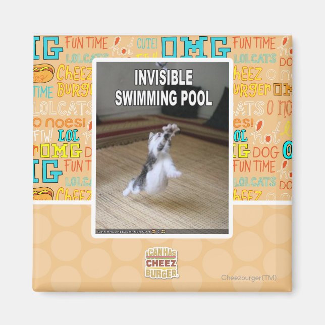 Invisible Swimming Pool Magnet (Front)