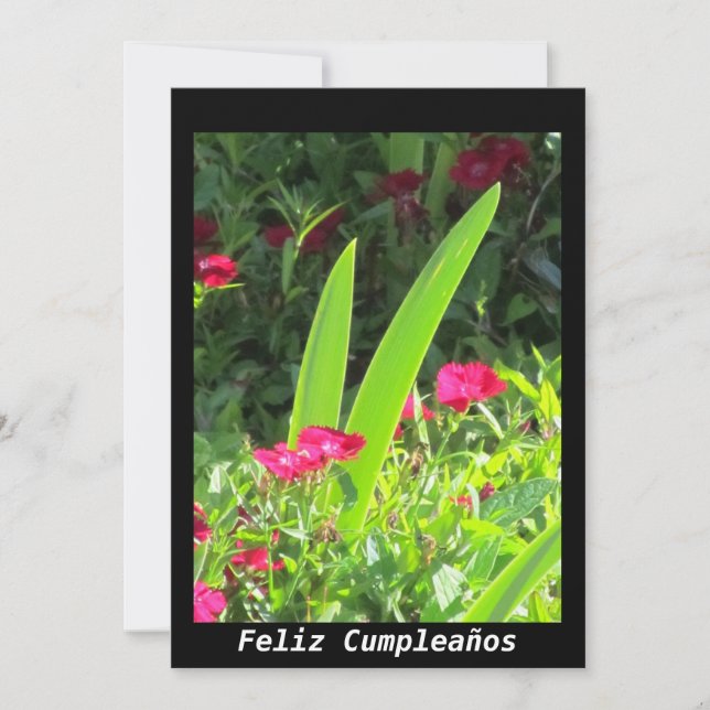Invitación - Feliz Cumpleaños  - Pink Flowers Invitation (Front)