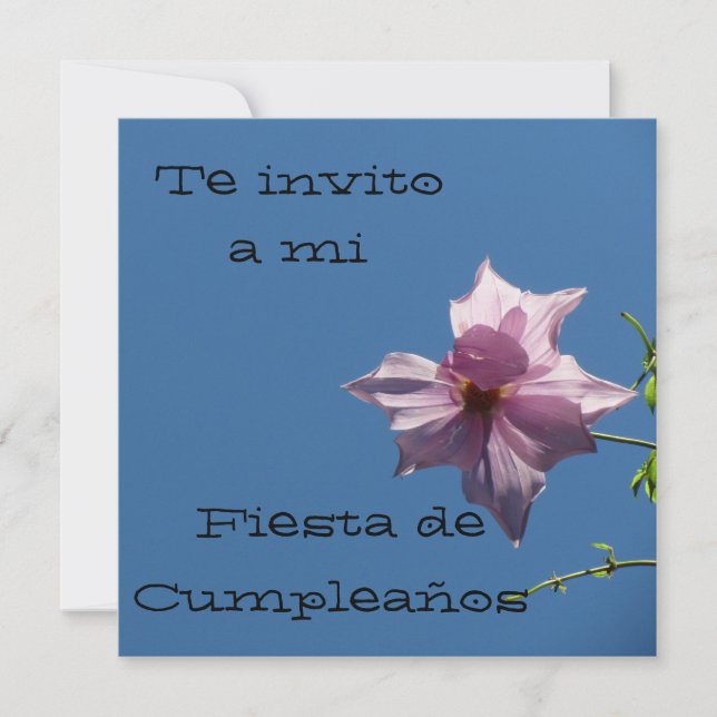 Invitación - Fiesta de Cumpleaños - Azul y Rosa Invitation (Front)