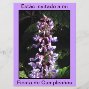 Invitación - Fiesta de Cumpleaños - Púrpura Invitation