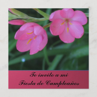 Invitación - Te invito a mi Fiesta de Cumpleaños Invitation