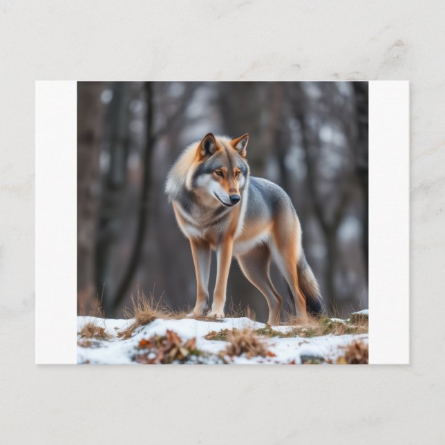 Invitation and announcement  (Front)