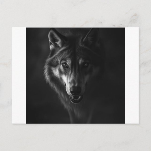 Invitation & Announcement  (Front)