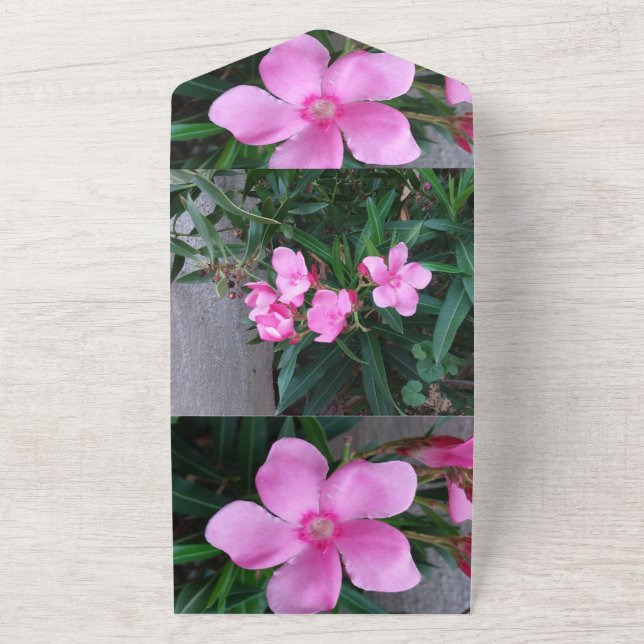 Invitation card (Outside)