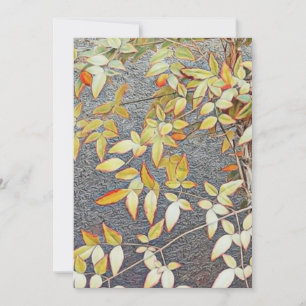 Invitation cards / 