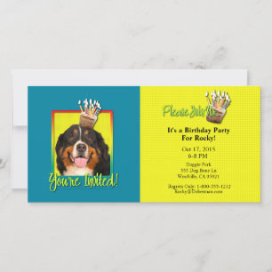 Invitation Cupcake - Bernese Mountain Dog