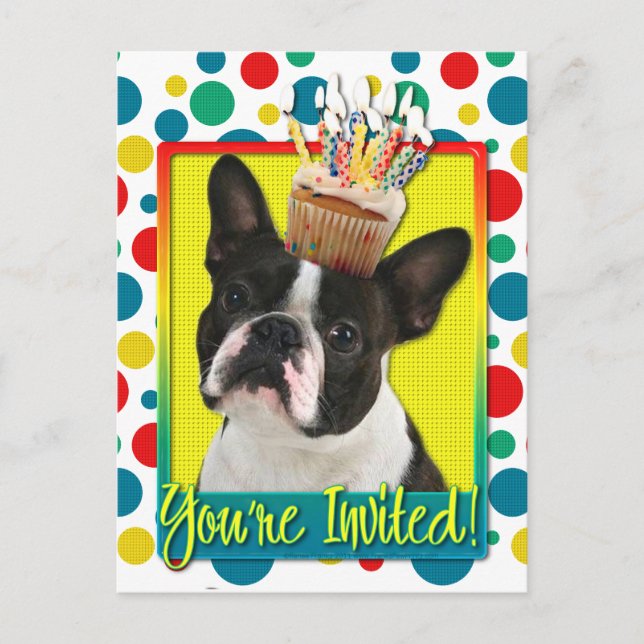 Invitation Cupcake - Boston Terrier (Front)