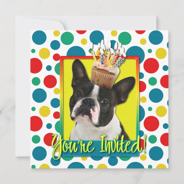 Invitation Cupcake - Boston Terrier (Front)
