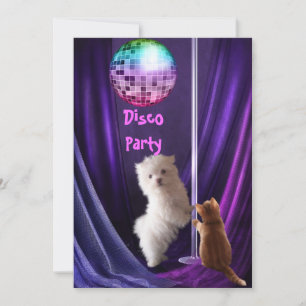 Invitation Disco Party Dog Cat Maltese Puppy