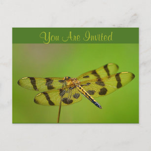 Invitation Dragonfly