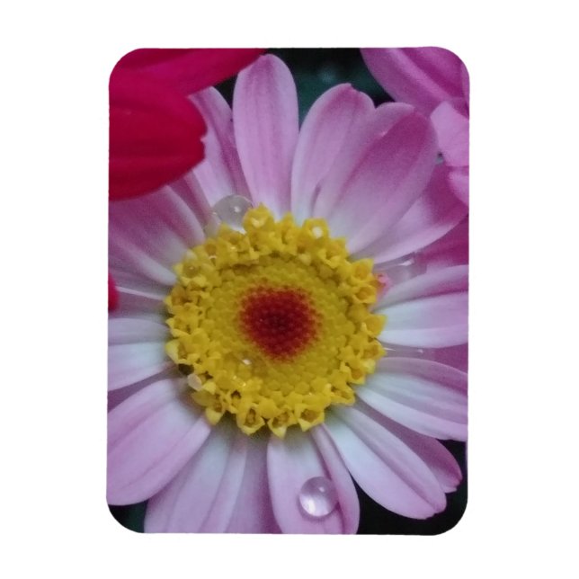 Invitation Magnet (Vertical)