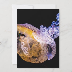 Invitation Postcard 5" x 7"