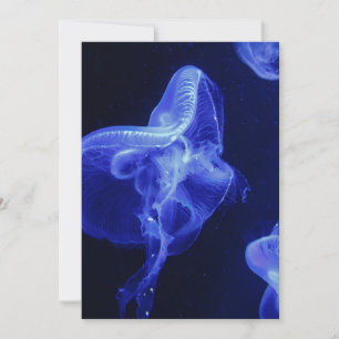 Invitation Postcard 5" x 7"