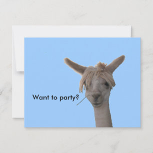 Invitation - Want to party?