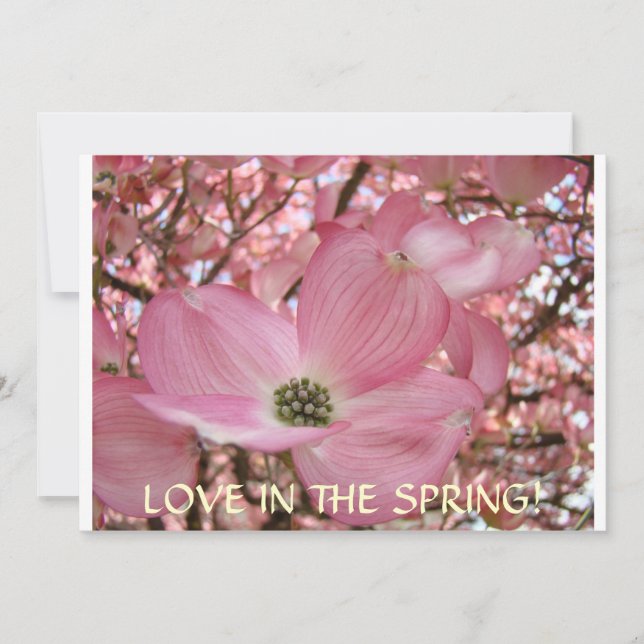 INVITATIONS Dogwood Flowers Announcement Cards (Front)