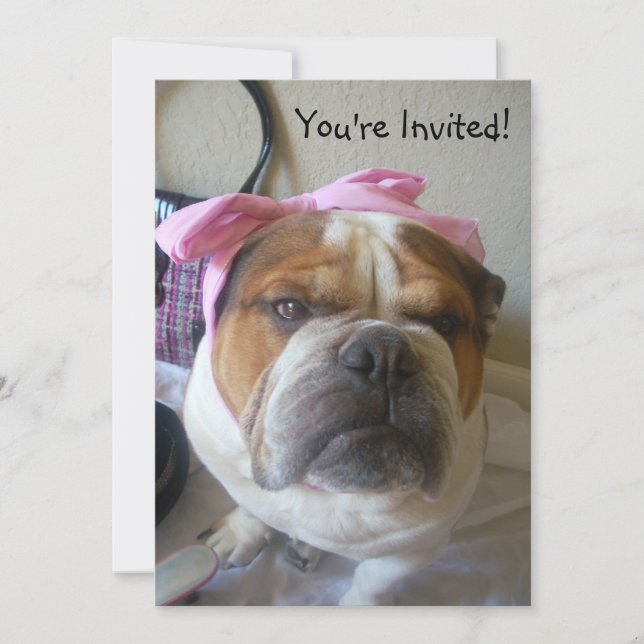 Invitations English Bulldog Birthday or any occas (Front)