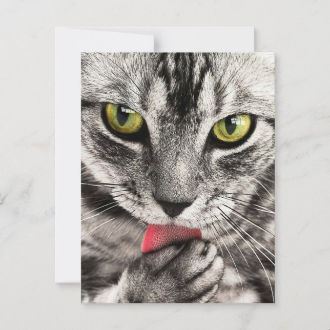 Invitations Stationery  Greeting Cards   (Front)