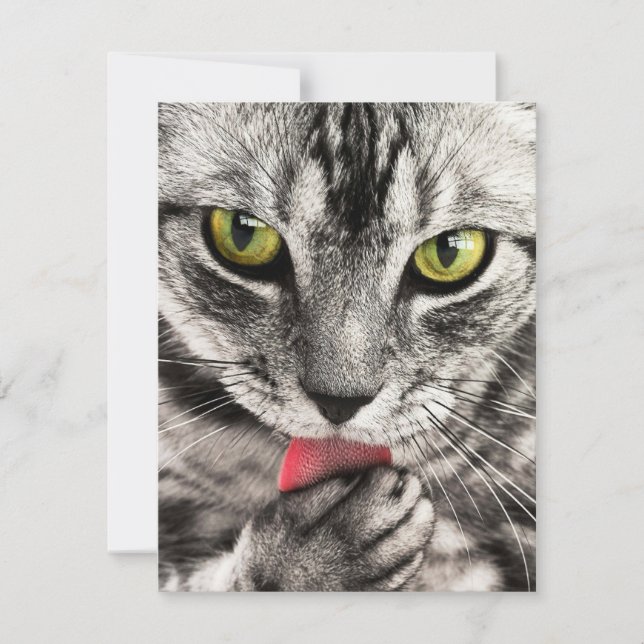 Invitations Stationery  Greeting Cards  Holida (Front)