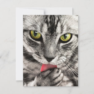 Invitations Stationery  Greeting Cards  Holida