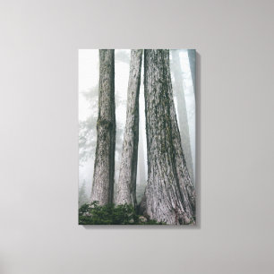 Invoking the Forest Canvas Print