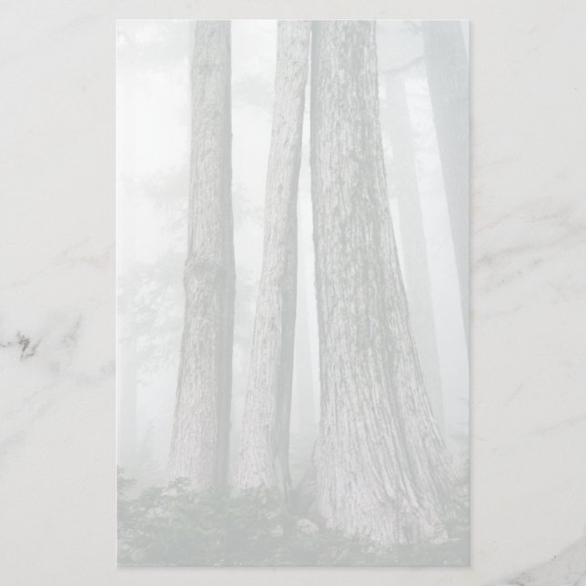 Invoking the Forest Stationery (Front)