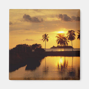 Inxtapa Sunset Magnet