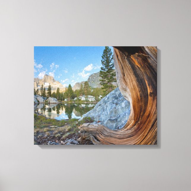 Inyo National Forest, California Canvas Print (Front)