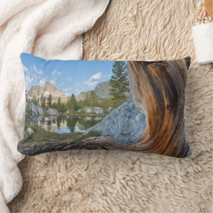 Inyo National Forest, California Lumbar Cushion