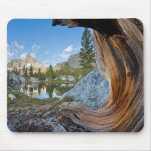 Inyo National Forest, California Mouse Mat