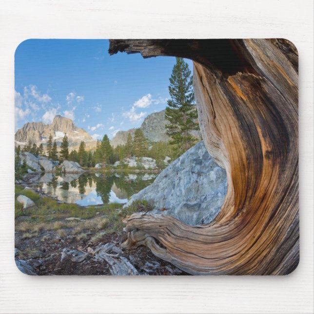 Inyo National Forest, California Mouse Mat (Front)