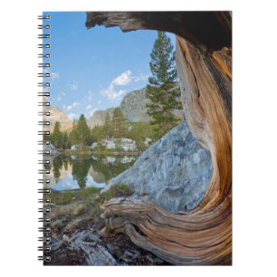 Inyo National Forest, California Notebook