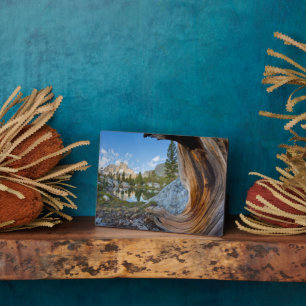 Inyo National Forest, California Plaque