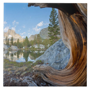 Inyo National Forest, California Tile