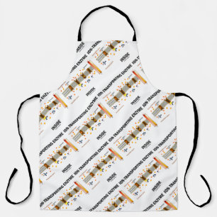 Ion-Transporting Enzyme Inside Active Transport Apron